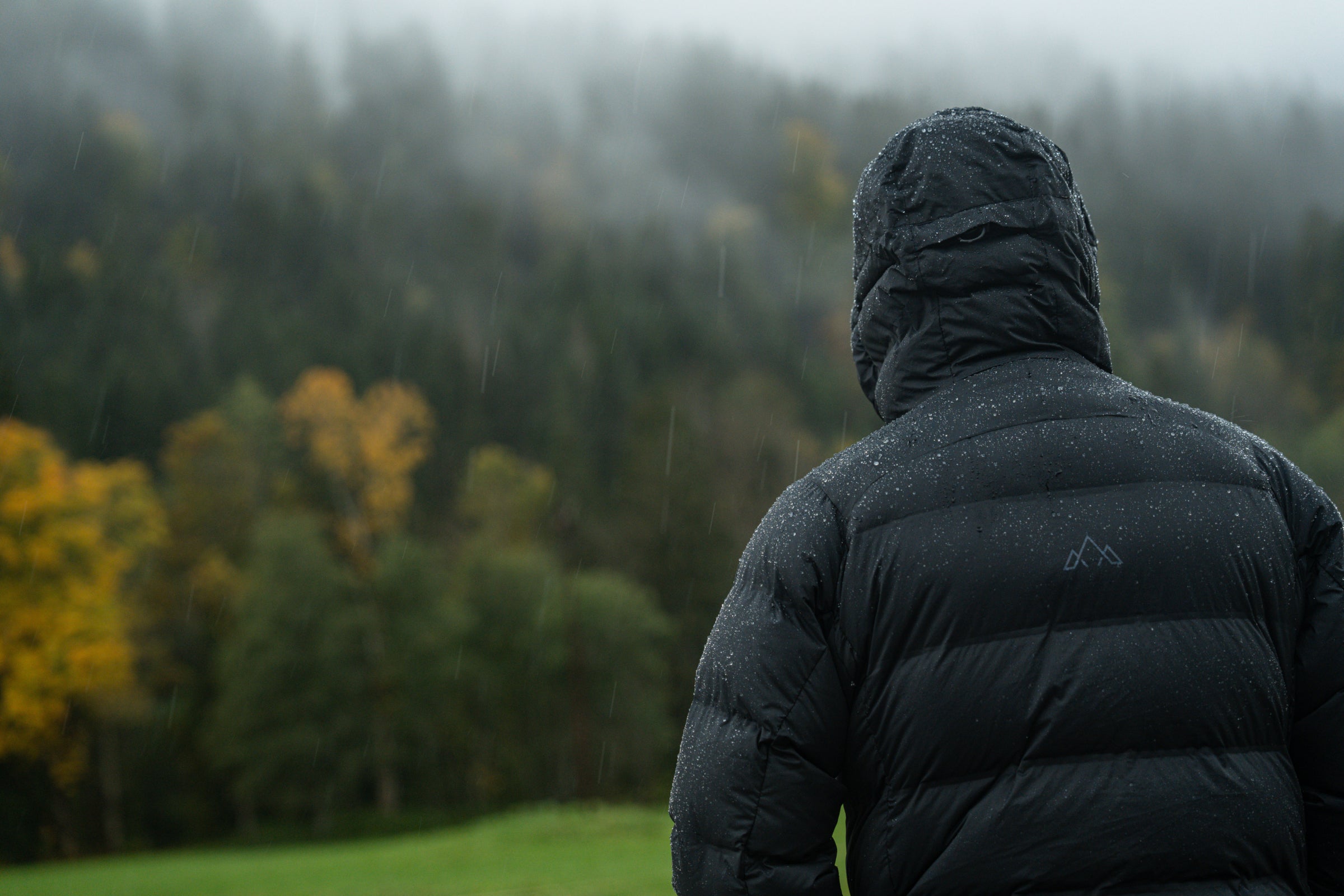 Back view of a hiker in the rain wearing a black jacket